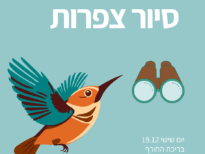 סיור צפרות בבריכת החורף