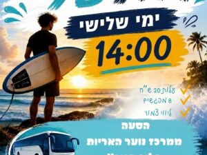 הגל שלי - מרכז נוער האריות