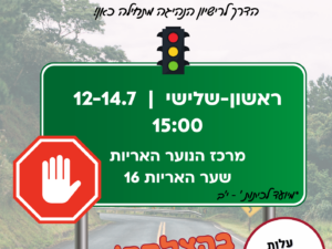 קורס תיאוריה באריות